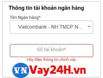 Điền thẻ ngân hàng khi vay tiền moneycat