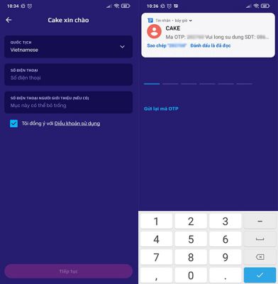 Điền số điện thoại và Nhập mã OTP